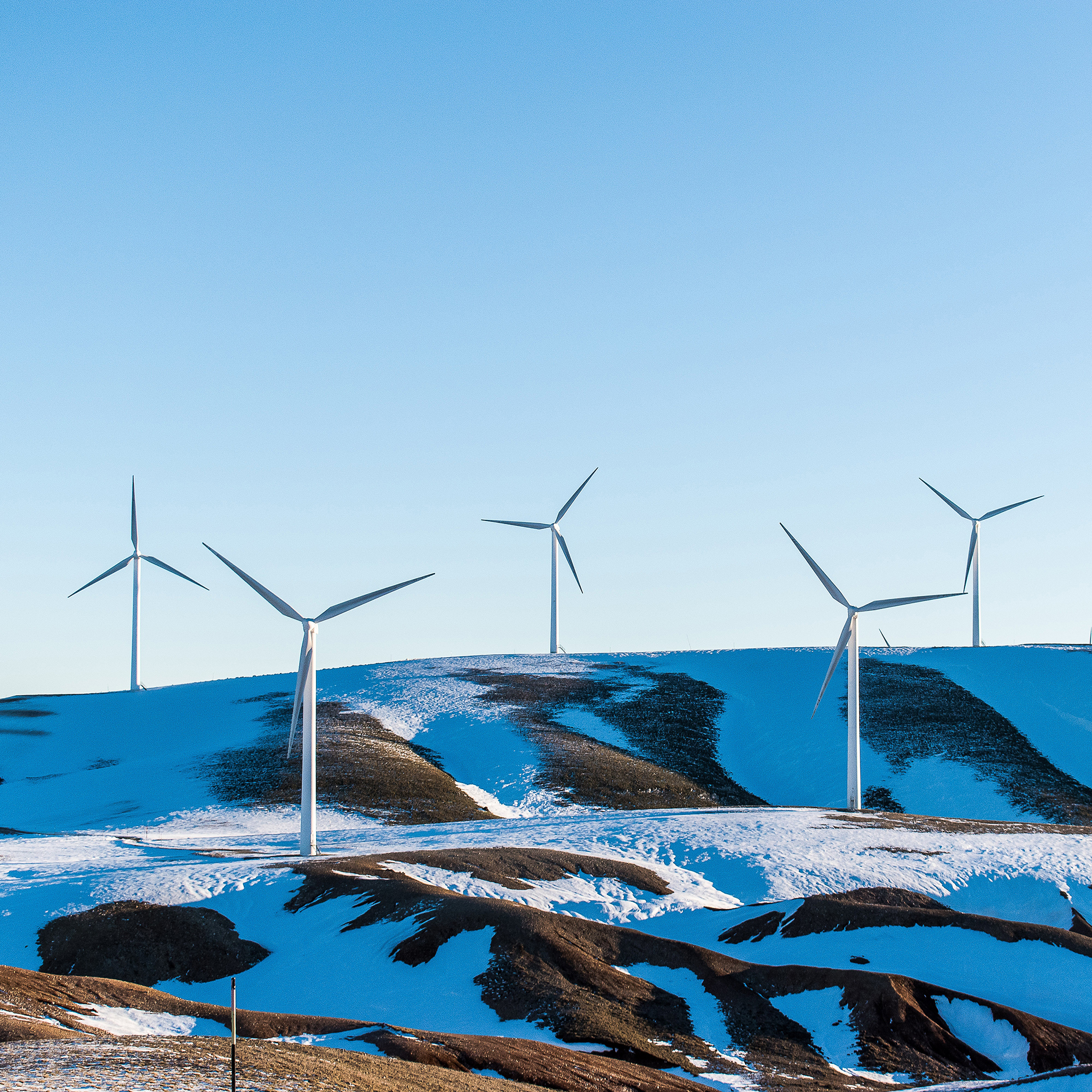 该资产在报告期内贡献了稳定的发电收入